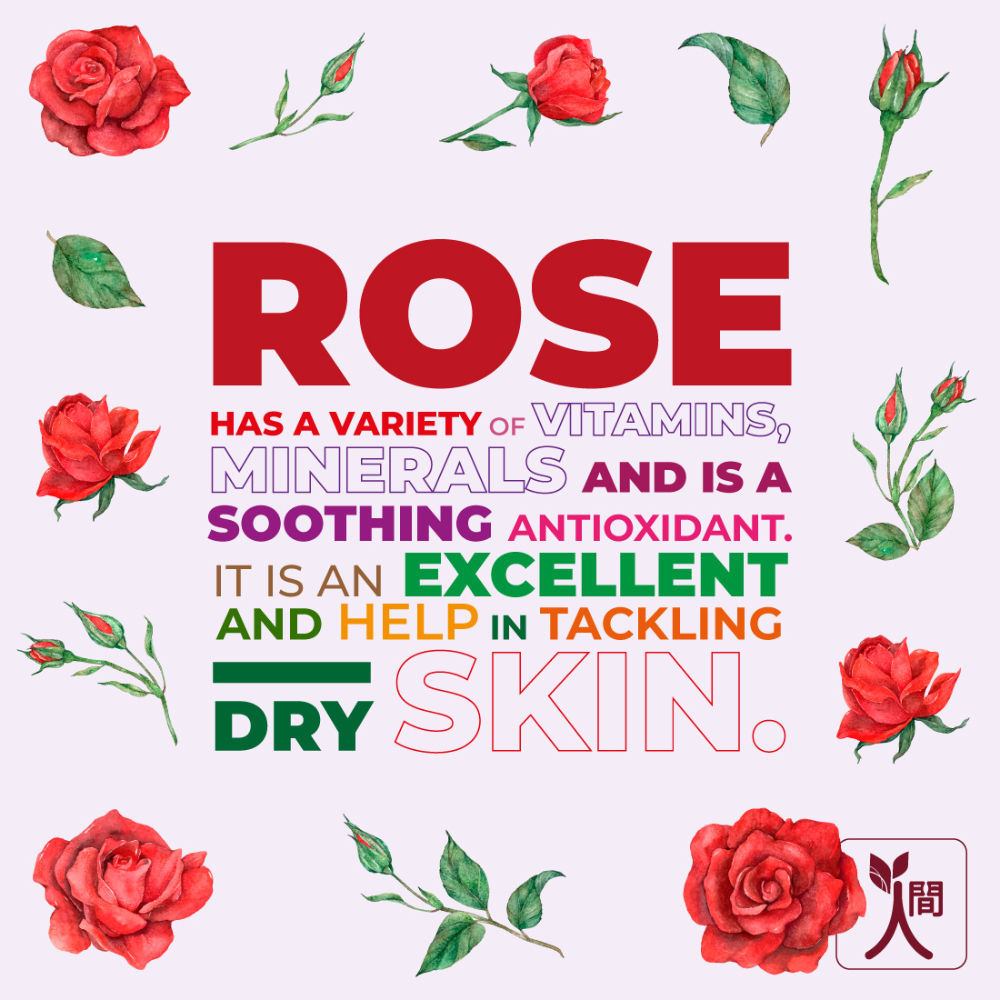 Rosehip Face Serum