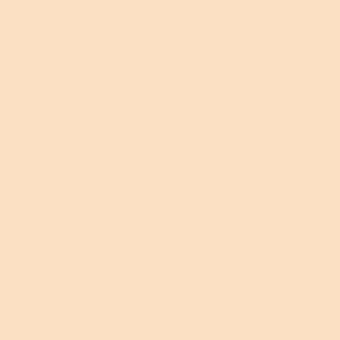 Mineral Mousse Oil Free Foundation Light SPF 20