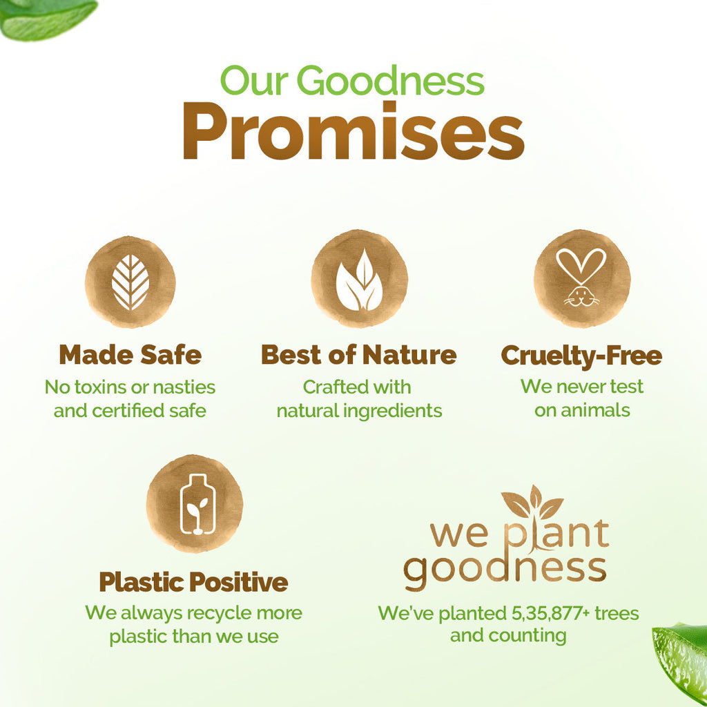 Aloe Vera Moisturizing Body Wash with Aloe Vera & Calming Jasmine Scent