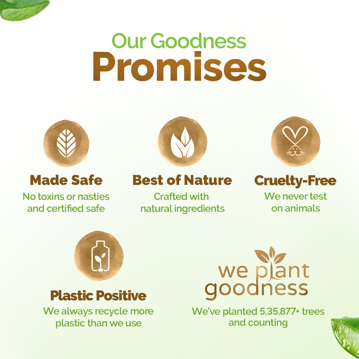 Aloe Vera Moisturizing Body Wash with Aloe Vera & Calming Jasmine Scent