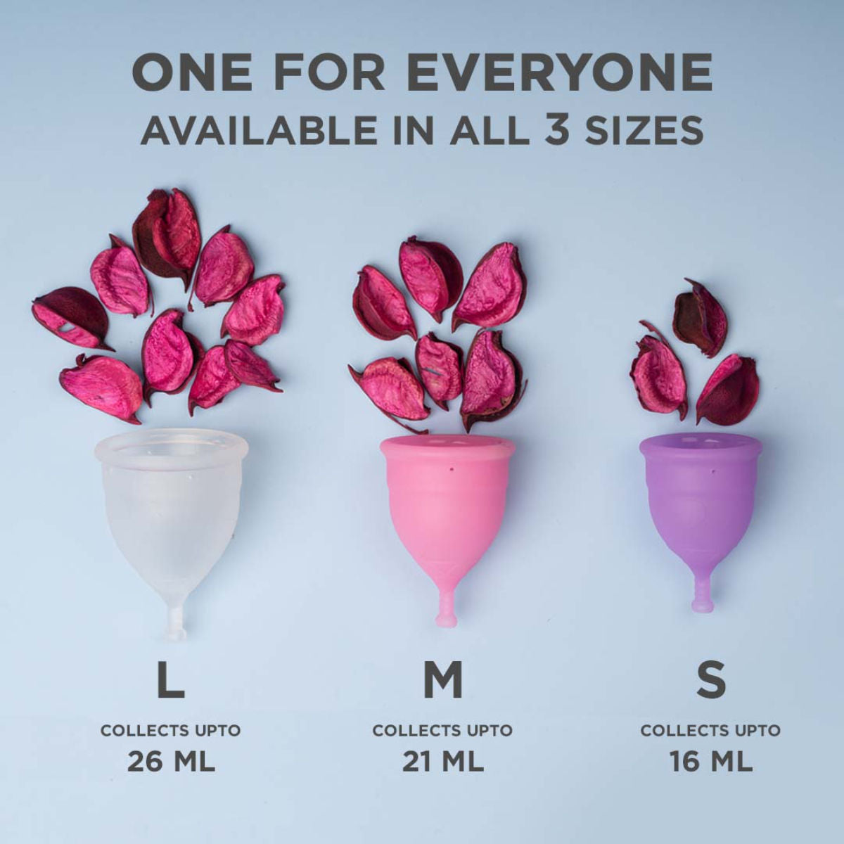 Reusable Menstrual Cup - No leakage,Rash-Free & Upto 12 Hours protection