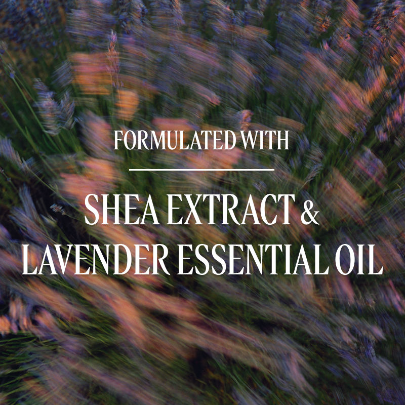 Shea Butter Lavender Liquid Soap