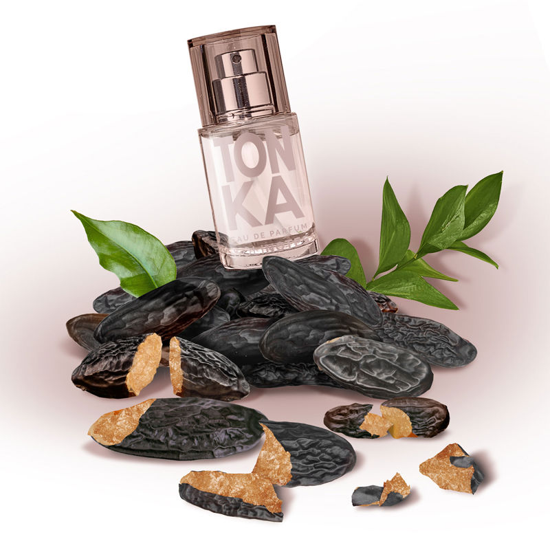 Tonka Eau De Parfum