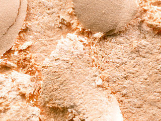 Extra Dimension Skinfinish