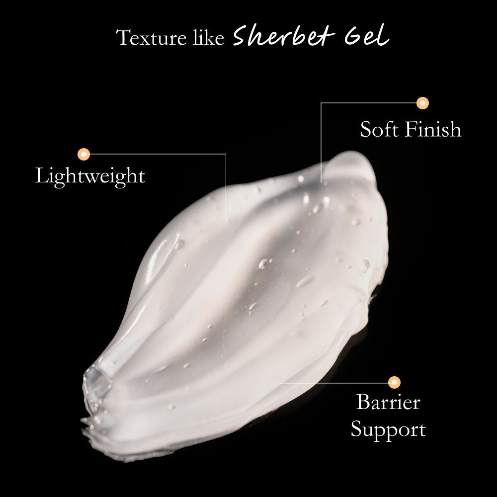 Light Moisturizer Refill Pack
