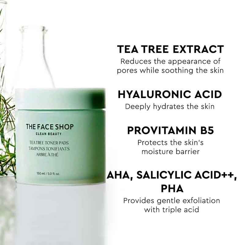 Tea Tree Korean Toner Pads with AHA, Salicylic Acid (BHA) & PHA for Acne & Oily Skin