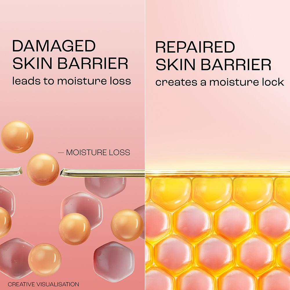 Lakmé Peach Creme Moisturiser, Ceramide & Peptide, Skin Barrier Repair & Hydrated Glow