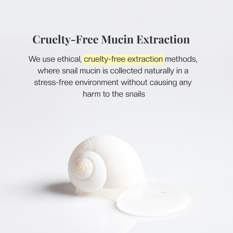 Snail Recovery Essence