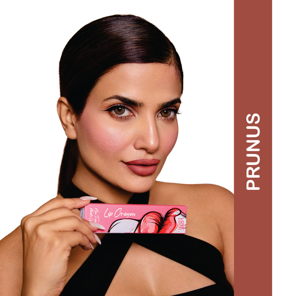 Lip Crayon Non-Transfer Lipstick