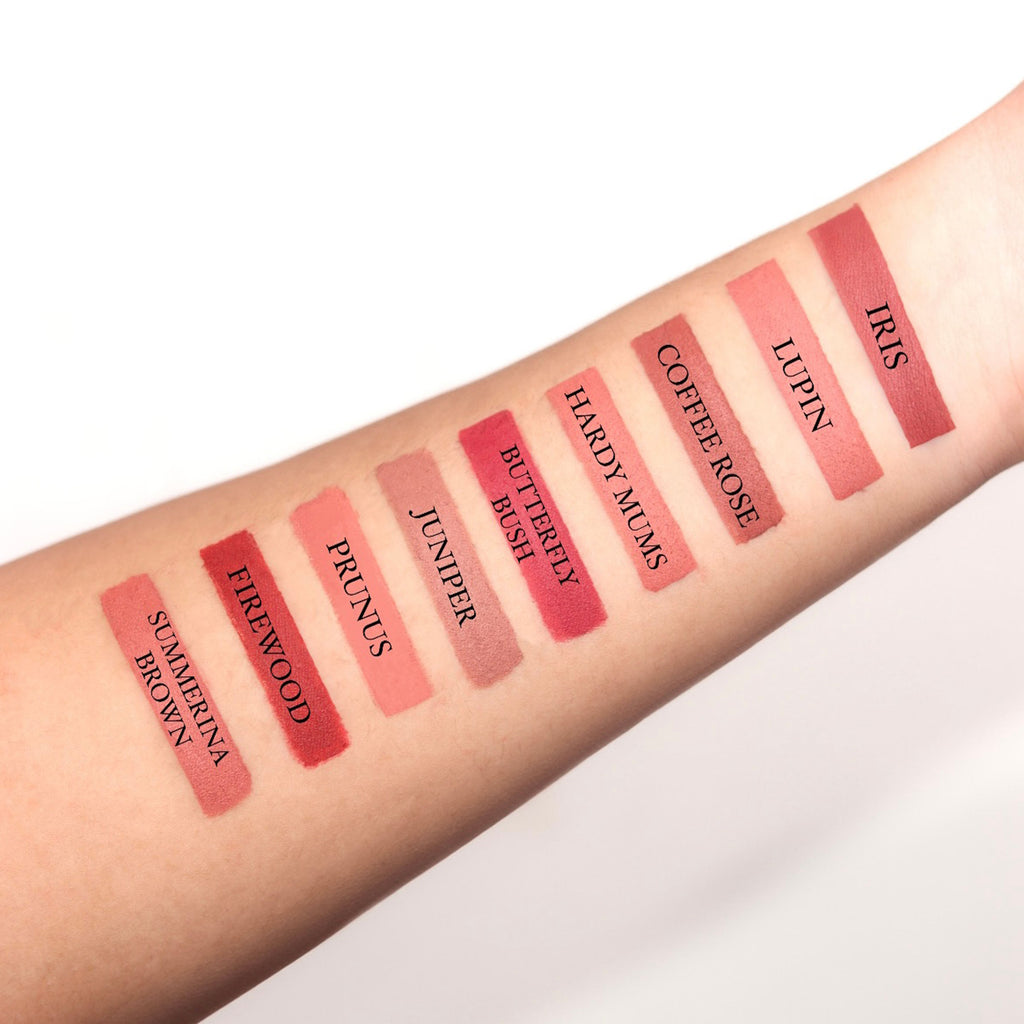 Lip Crayon Non-Transfer Lipstick