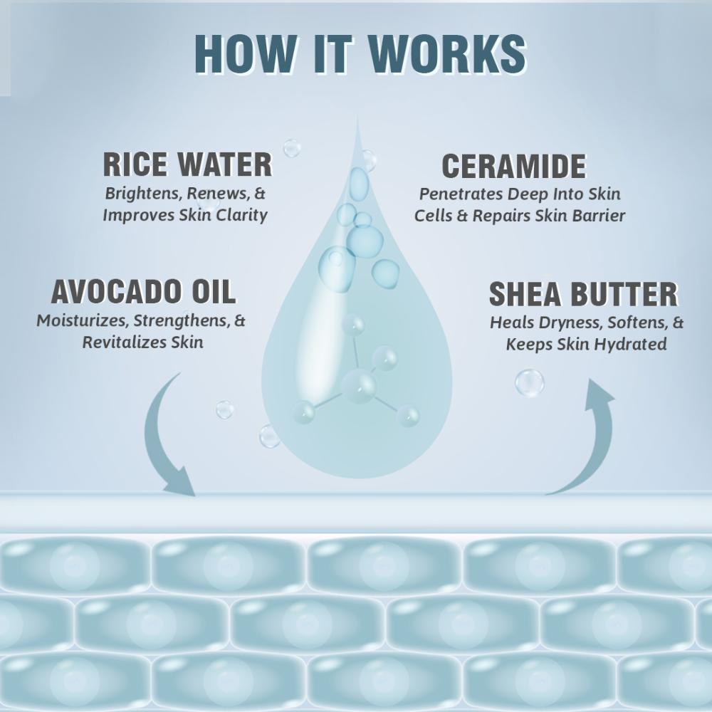 Rice & Ceramide Body Lotion - Ultra-Hydrating Korean Formula