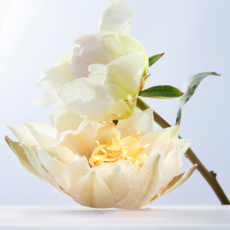 Omnia Crystalline Eau de Toilette For Her
