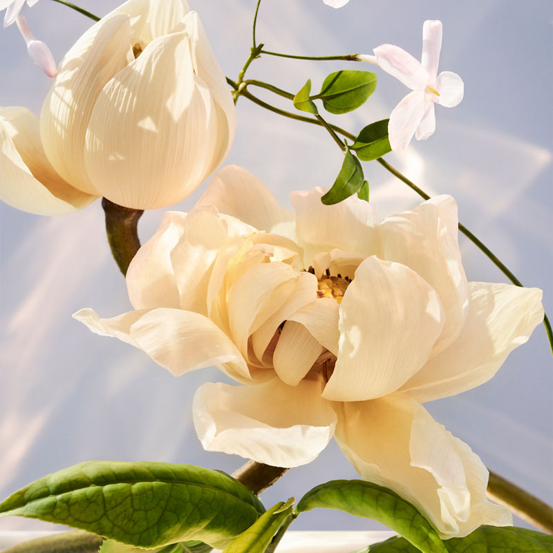 Omnia Crystalline Eau De Parfum