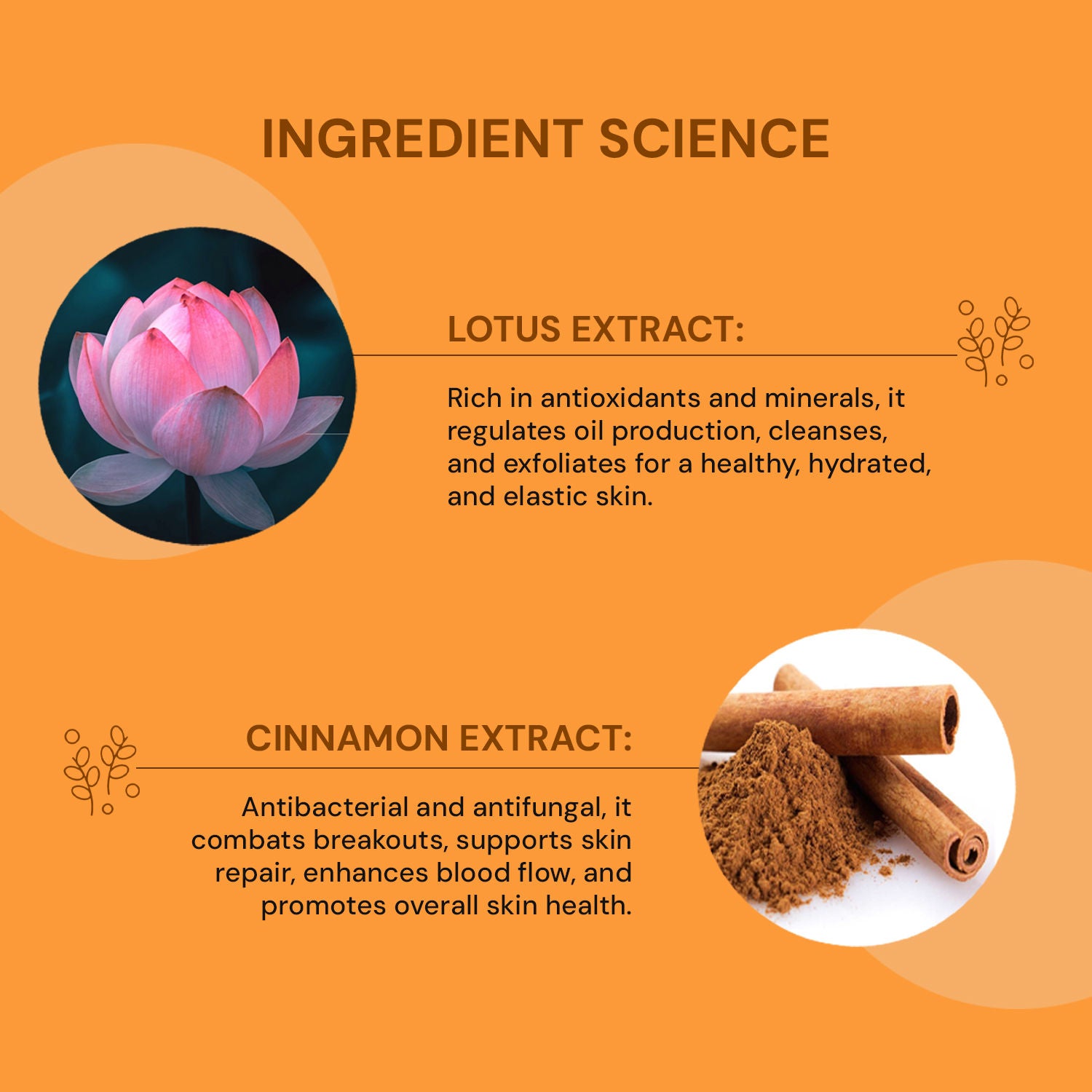 Skin Toner With Lotus And Cinnamon Extracts
