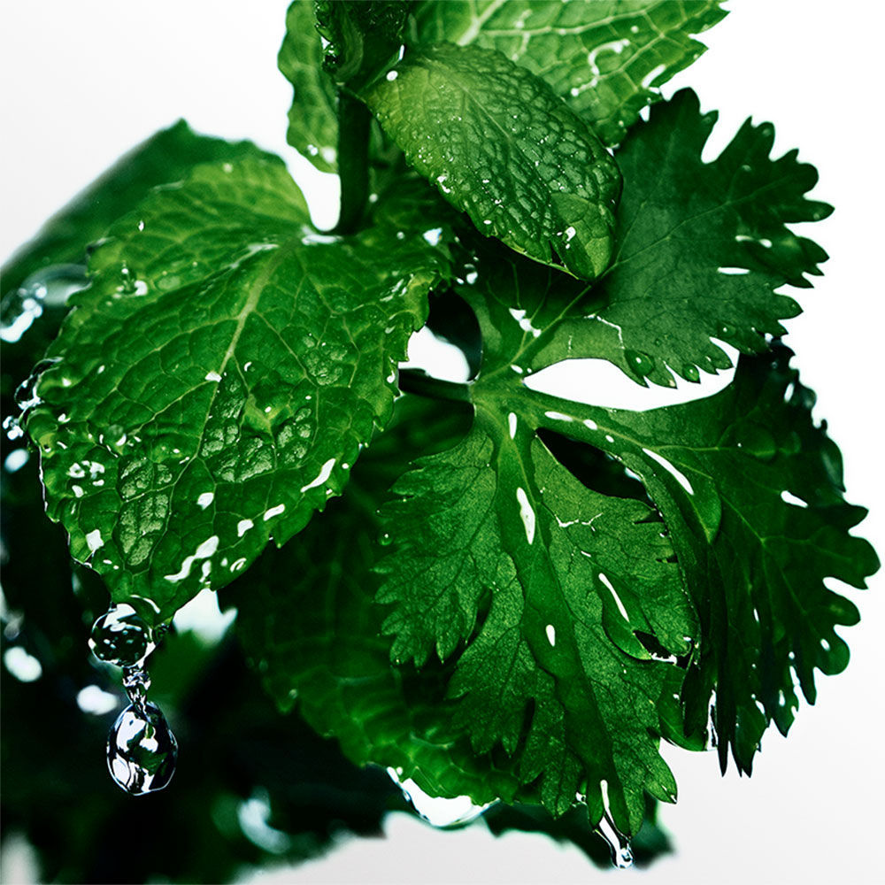 Cool Water Eau De Toilette For Men