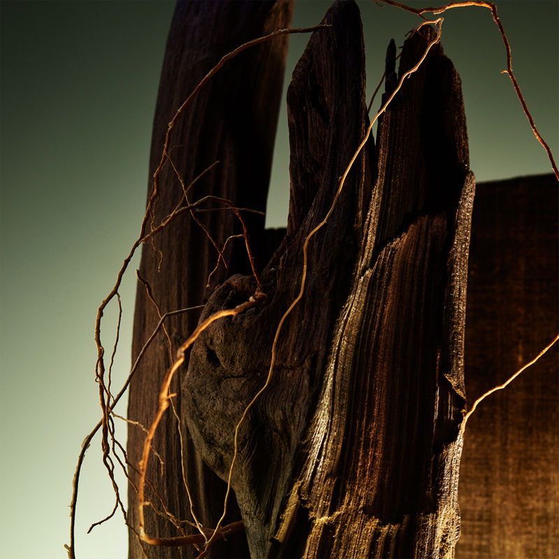 Man Wood Essence Parfum