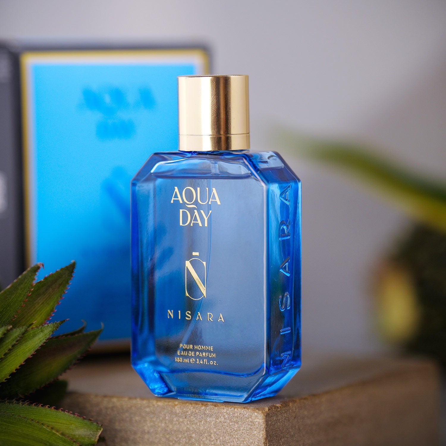 Aqua Day - Perfume For Men,Eau De Parfum,Long Lasting Fresh Aquatic Fragrance