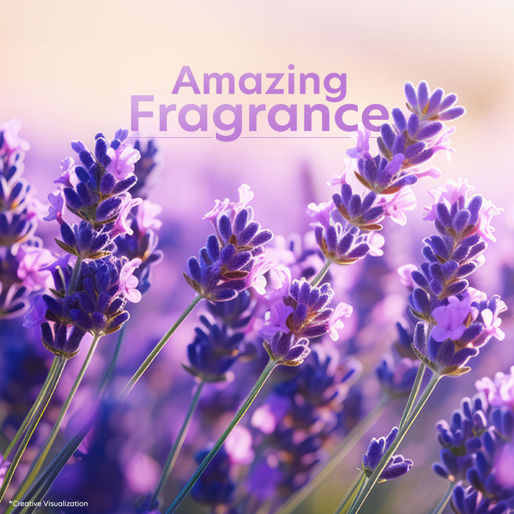 Fragrant Body Wash Lavender & Almond Oil Moisturizing Shower Gel Supersaver Refill Pack