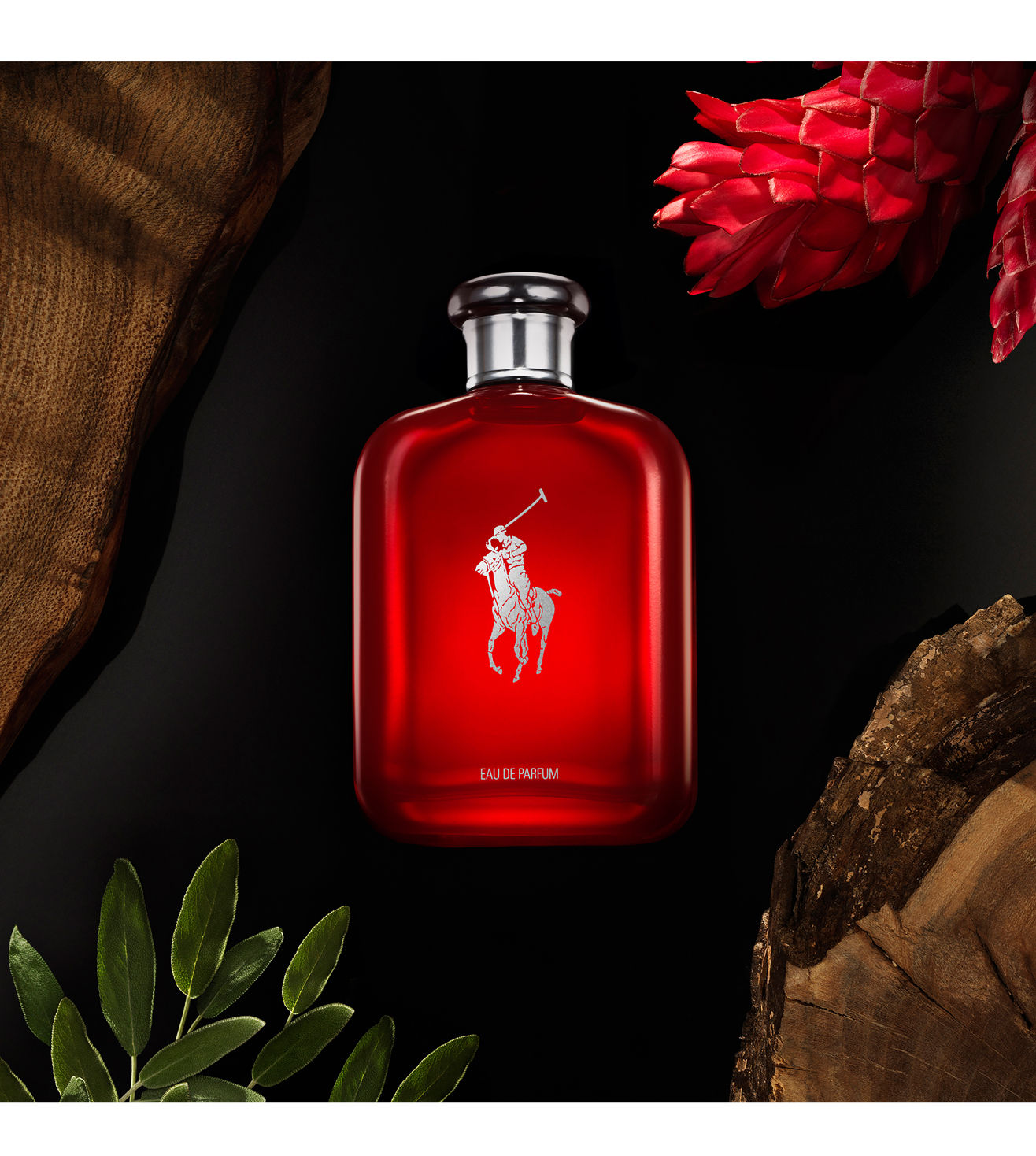 Polo Red Eau De Parfum For Him