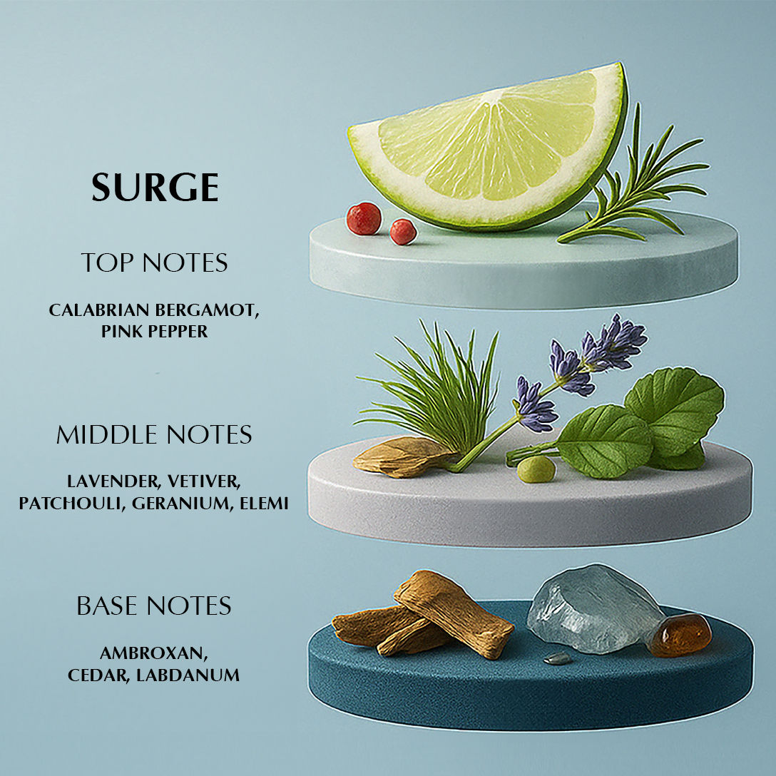 Surge Long Lasting EDP Perfume for Men