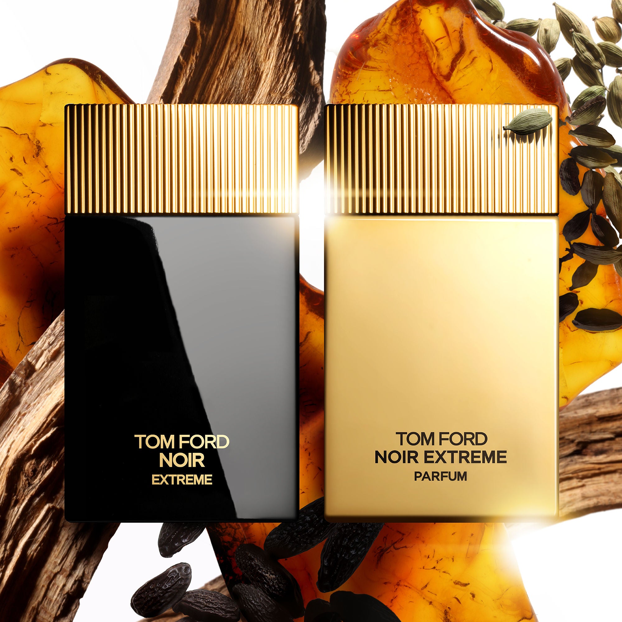 Noir Eau de Parfum For Him
