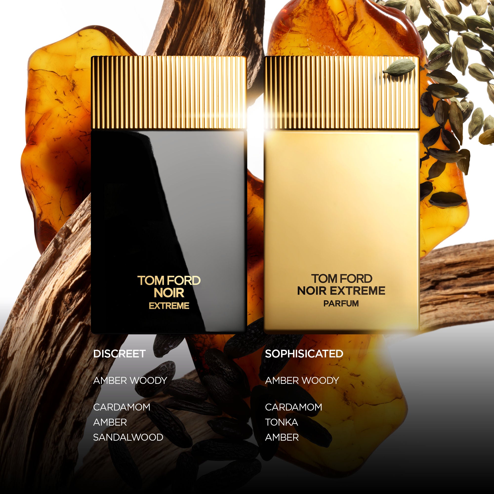 Noir Eau de Parfum For Him