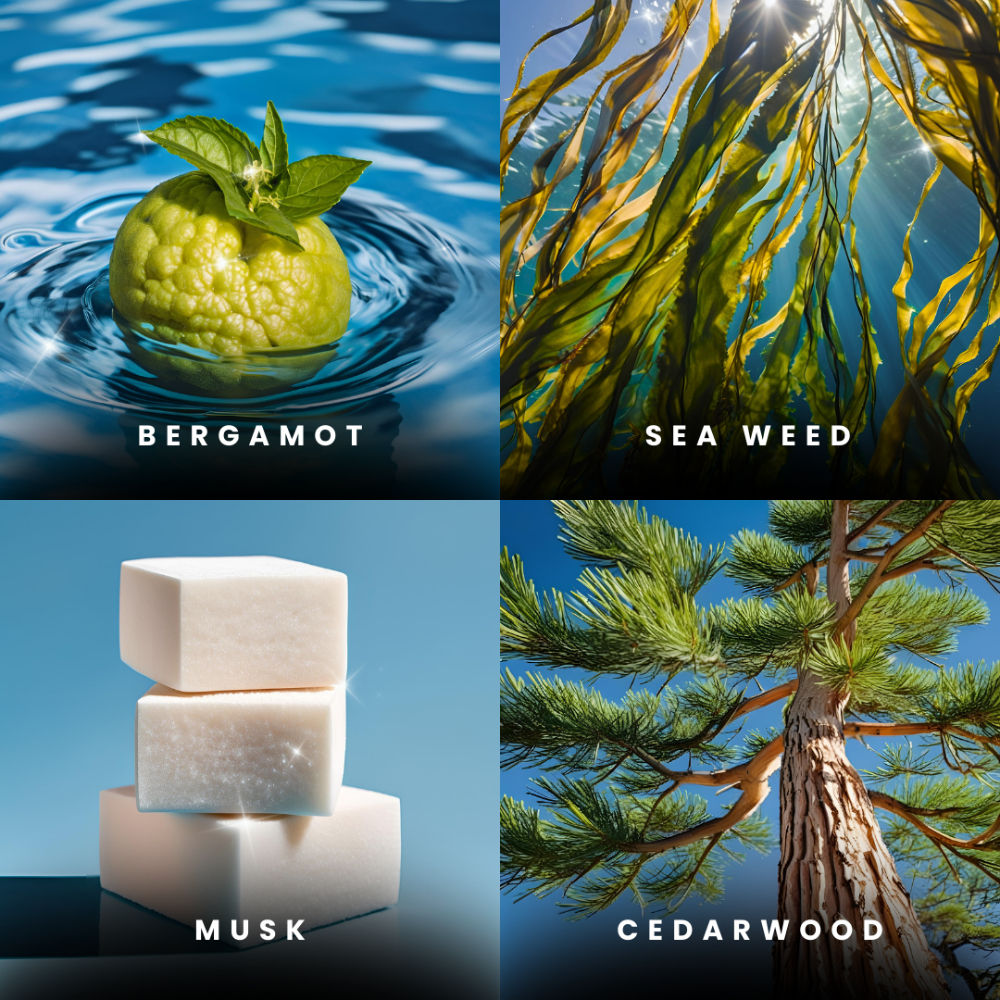 Wavesong Eau De Parfum For Him