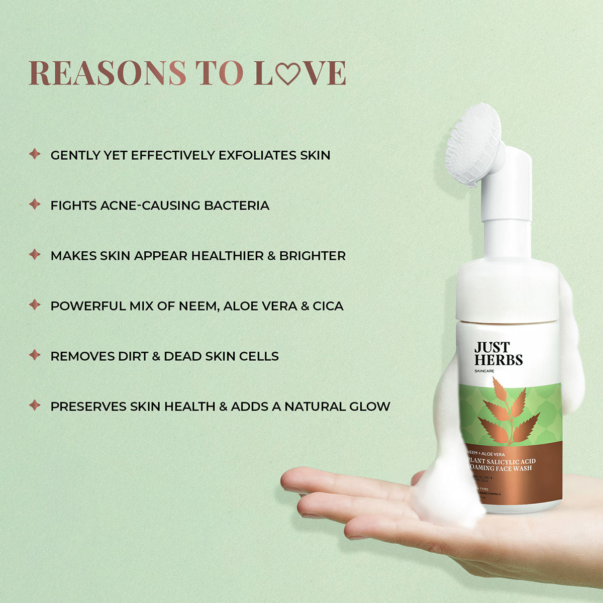 Neem And Aloe Vera Plant Salicylic Acid Foaming Face Wash
