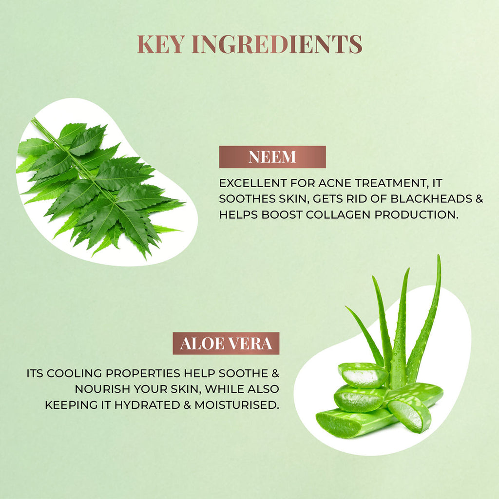 Neem And Aloe Vera Plant Salicylic Acid Foaming Face Wash