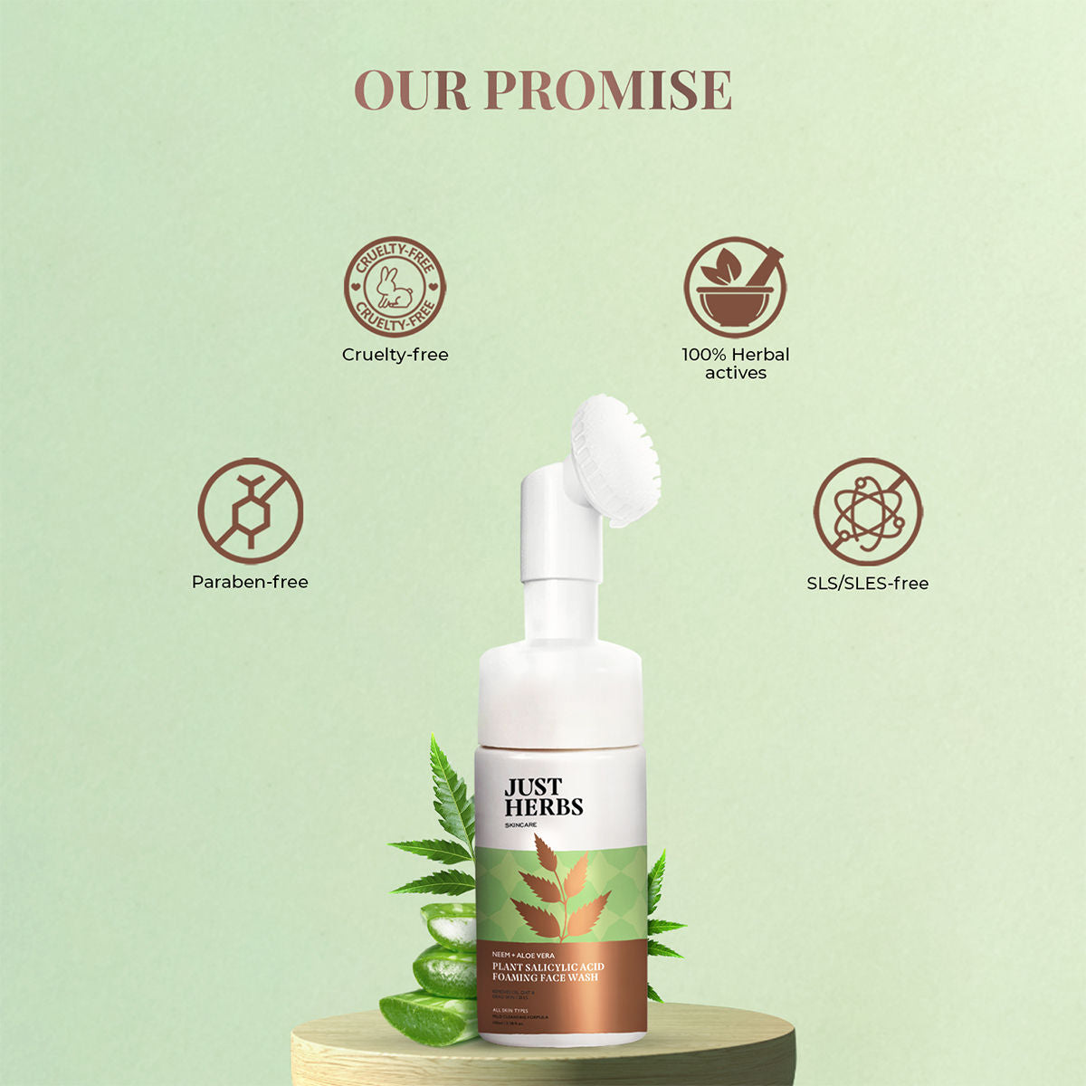 Neem And Aloe Vera Plant Salicylic Acid Foaming Face Wash