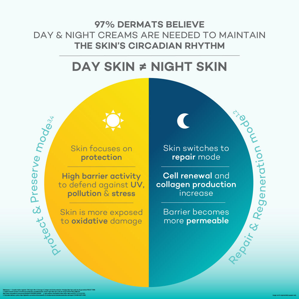 Night Cream, Vitamin C, Anti-Aging, Fades Fine Lines & Wrinkles, Light Weight