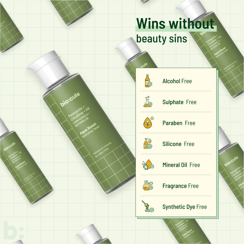Aqua Boost Hydrating Face Toner - For All Skin Types