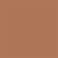 Terracotta Joli Teint Foundation