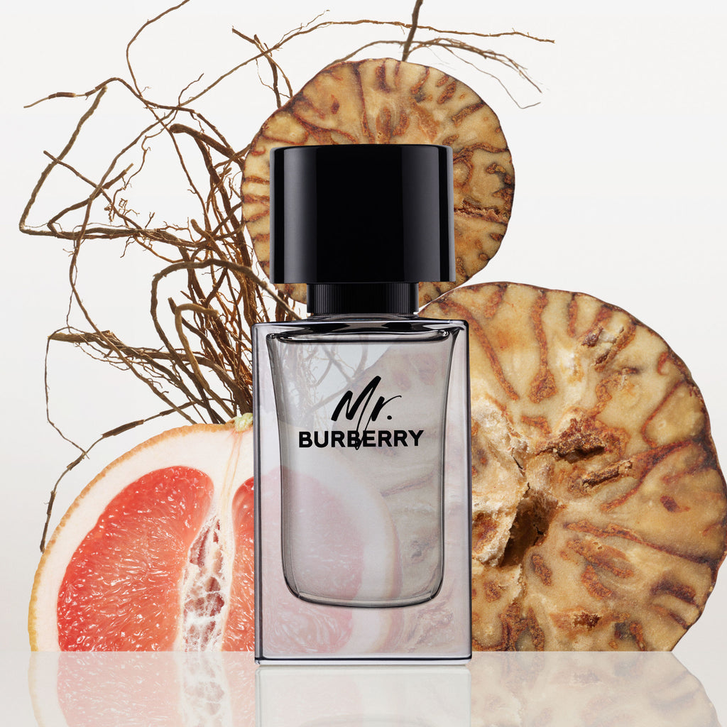 Mr. Burberry Eau De Toilette For Him