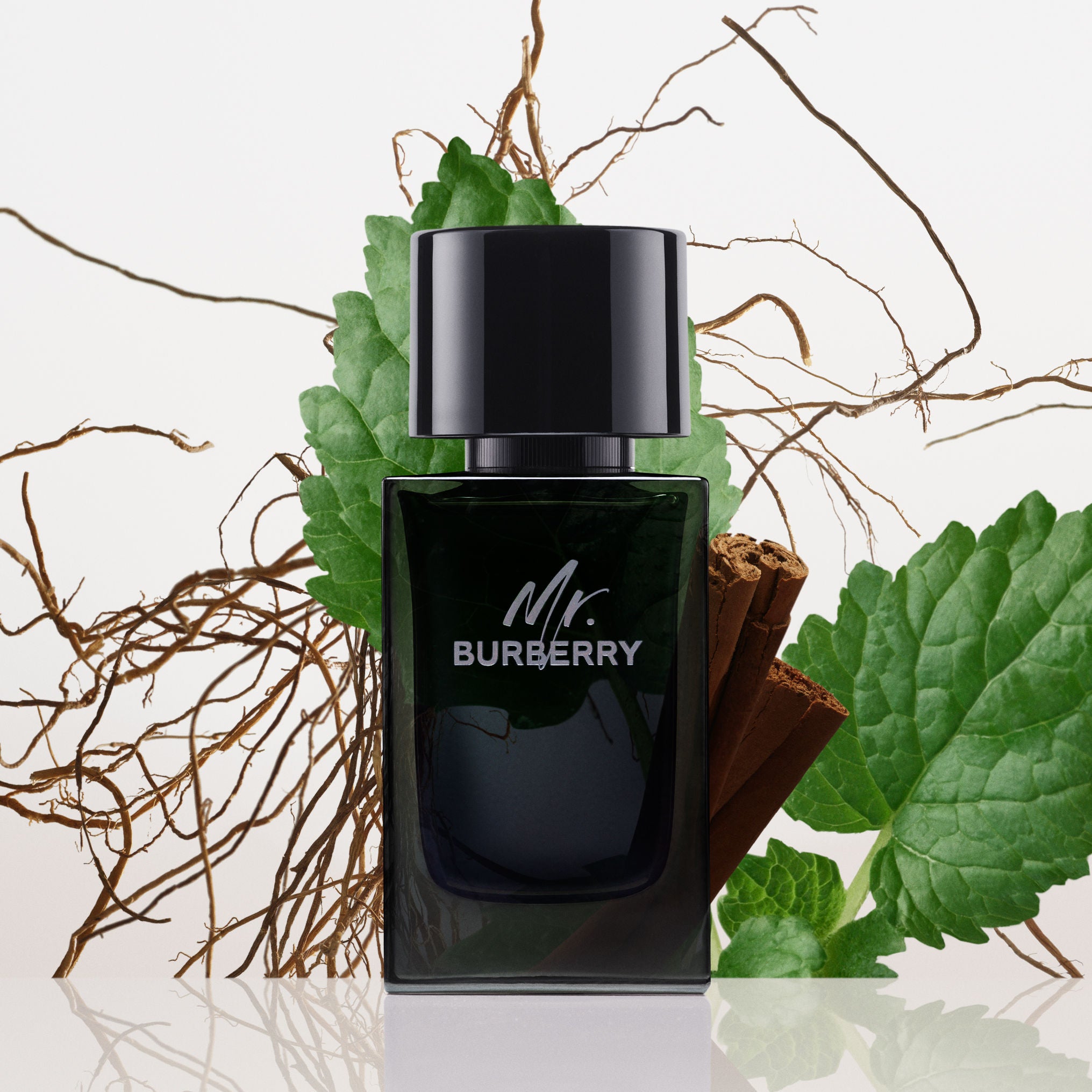 Mr. Burberry Eau De Parfum For Him