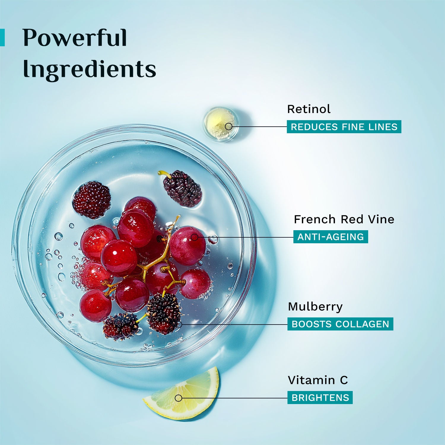 Red Vine Night Gel Creme with Retinol Mulberry