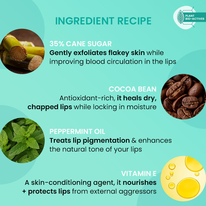Lip Polish Exfoliating Sugar Scrub