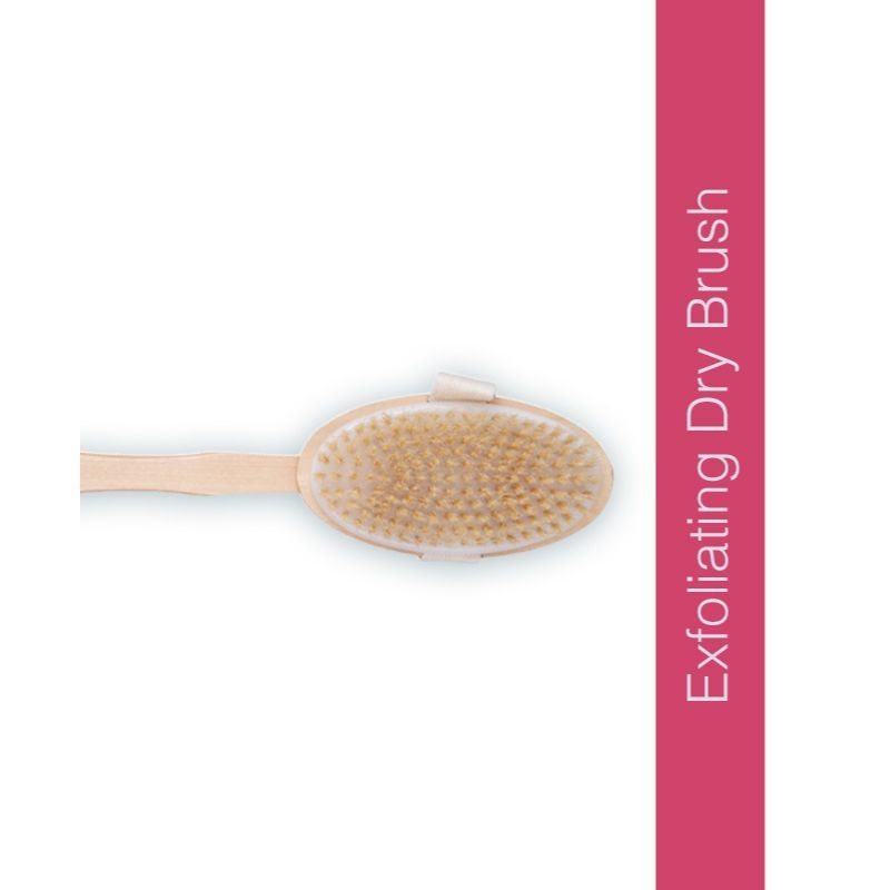 Dry Brush With 14 Inch Removable Wood Handle