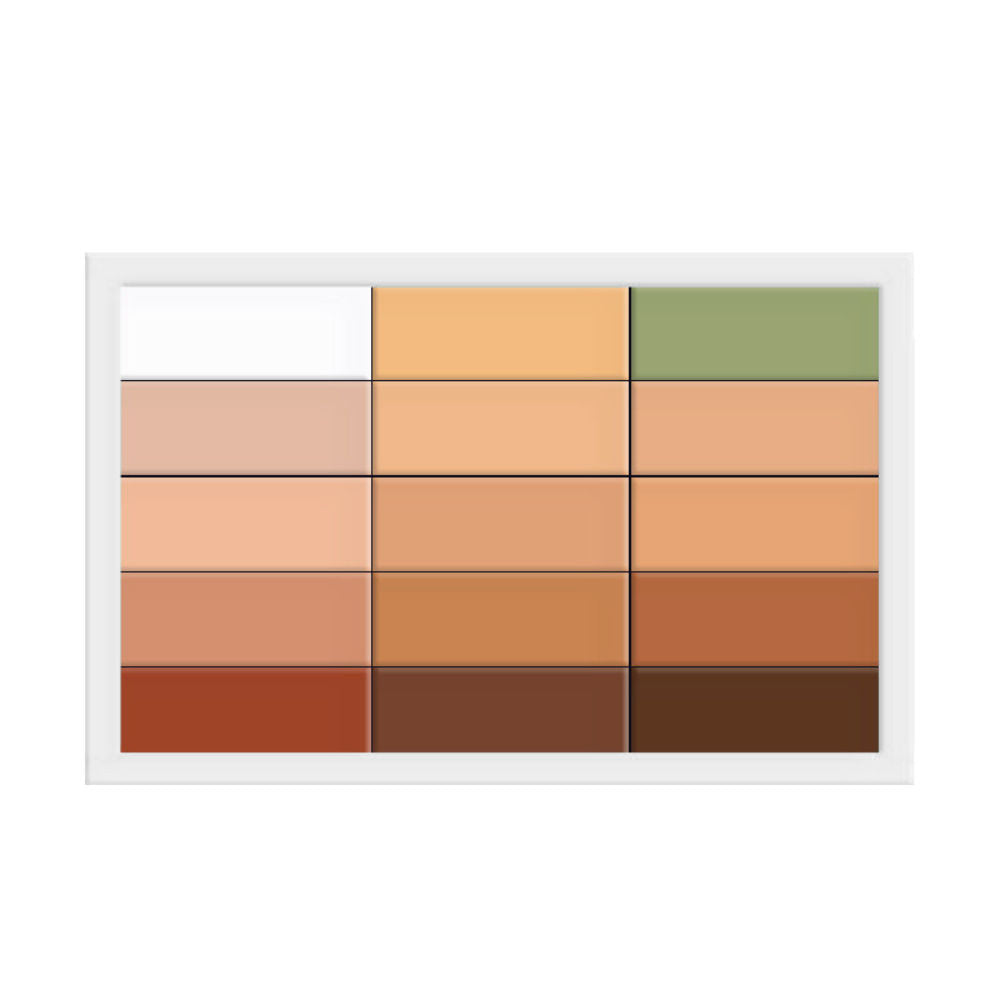 All In 1 Concealer Palette