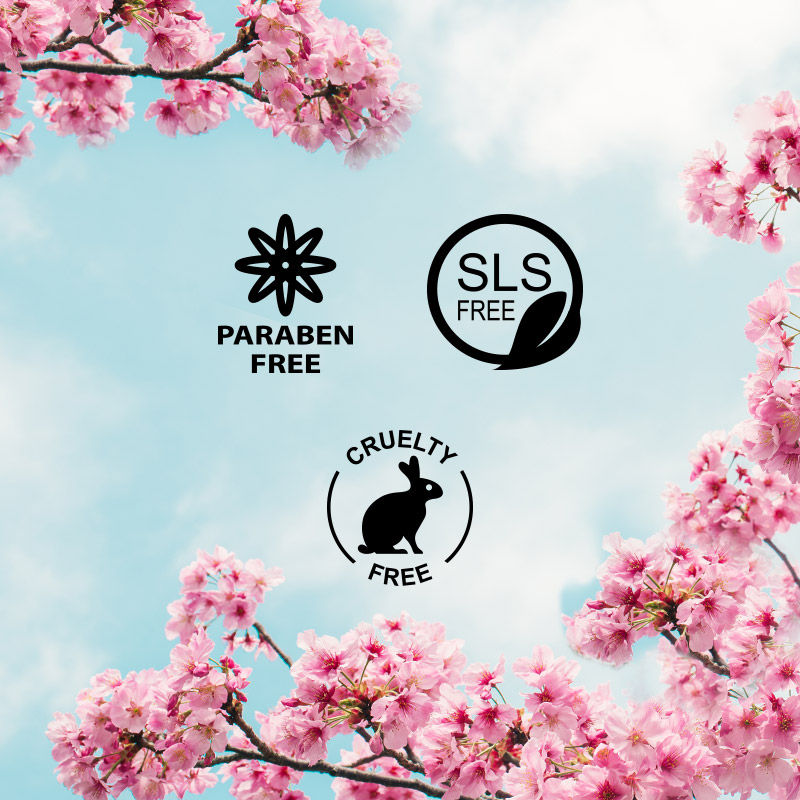 Japanese Cherry Blossom Body Butter