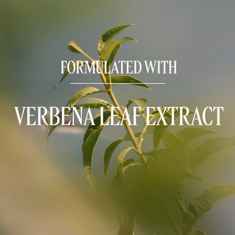 Verveine (Verbena) Hand Cream