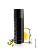 Silver Scent Intense Deodorant