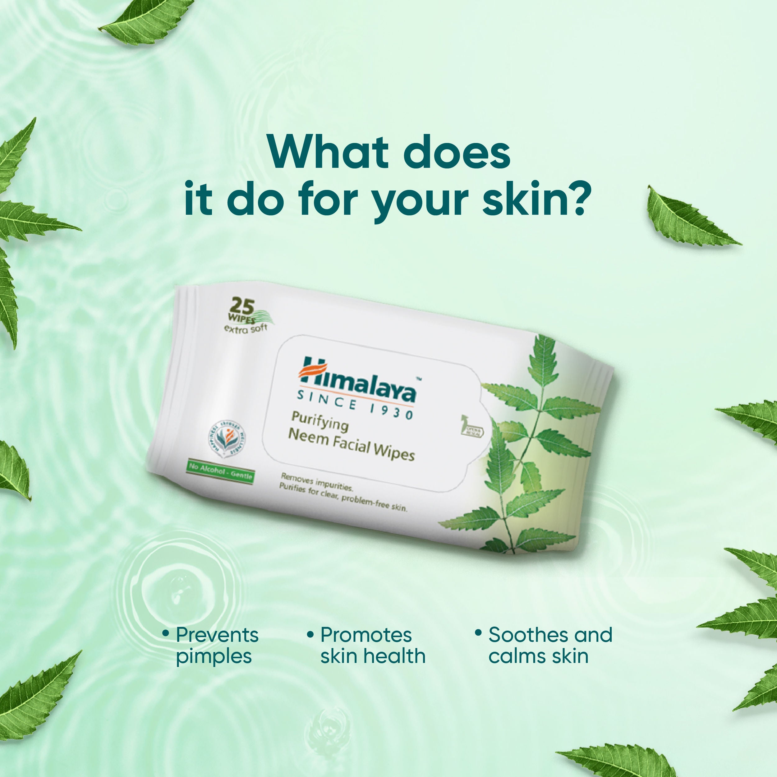 Purifying Neem Facial Wipes