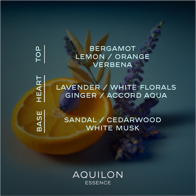 Volante Aqulion Eau De Parfum