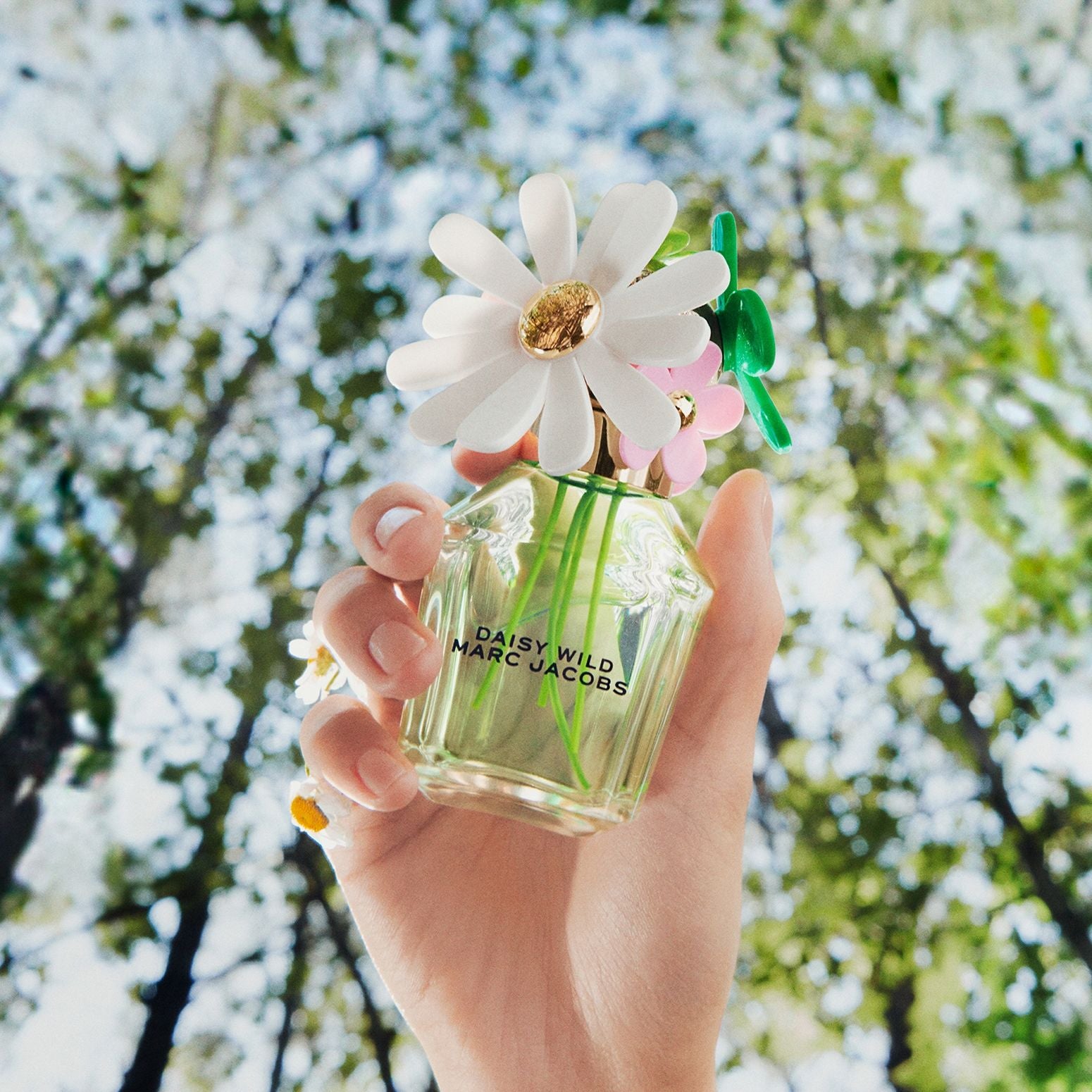 Daisy Wild Eau de Parfum For Her