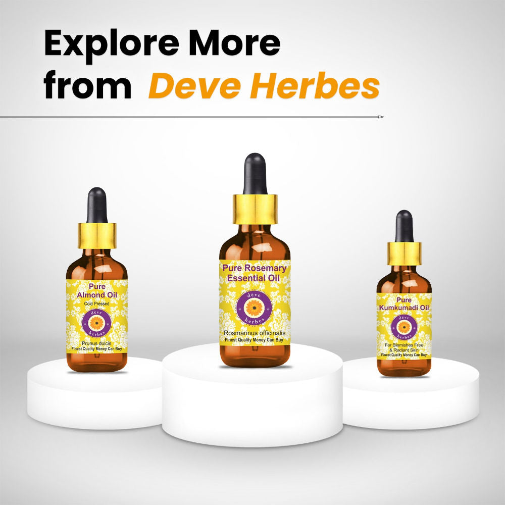 Pure Turmeric Essential Oil - Curcuma Longa Steam Distilled