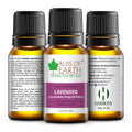 Lavender Premium Essential Oil