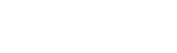 wingit